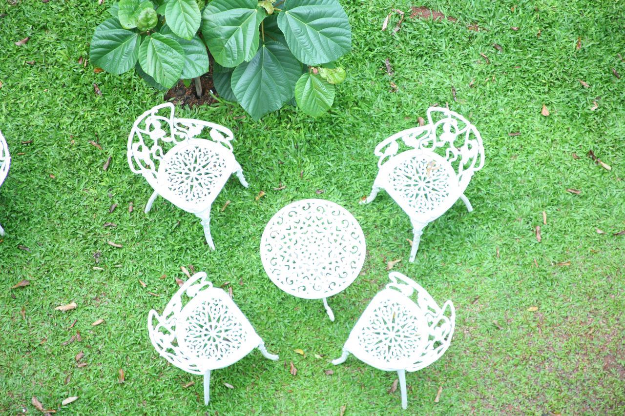 Resort Tea Harvester