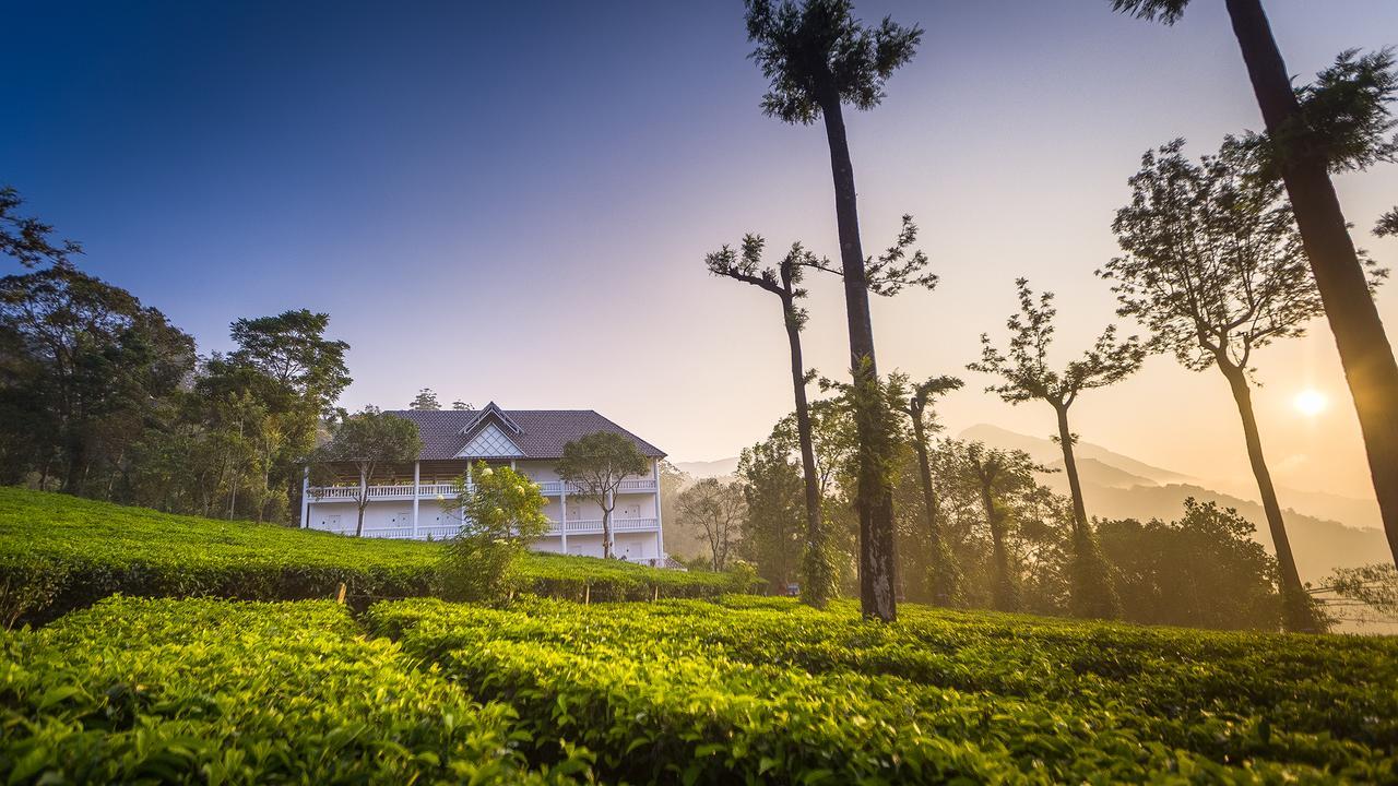Tea Harvester Resort