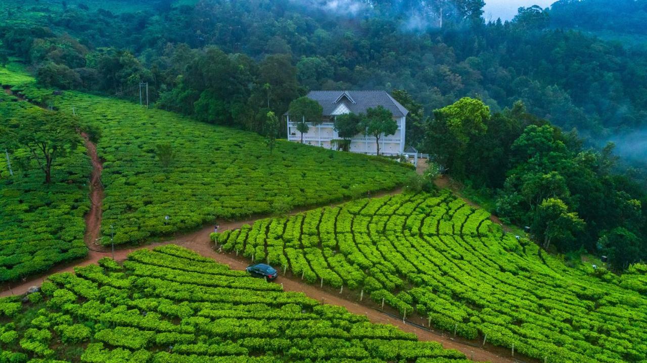 Resort Tea Harvester
