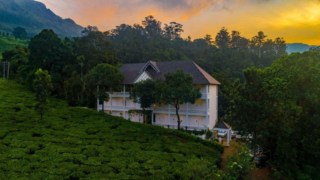 Resort Tea Harvester